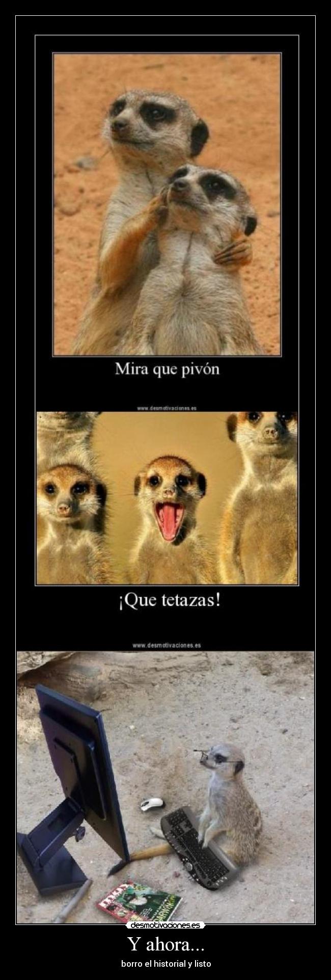 carteles clanotao flr clanpitufo fapean los suricatos desmotivaciones