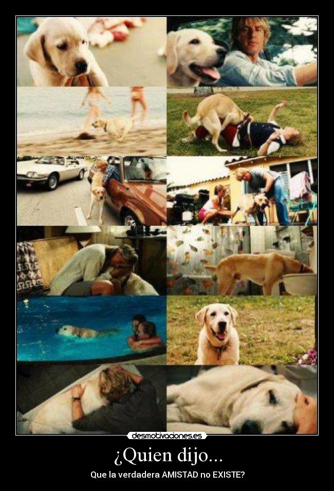 ¿Quien dijo... - Que la verdadera AMISTAD no EXISTE?