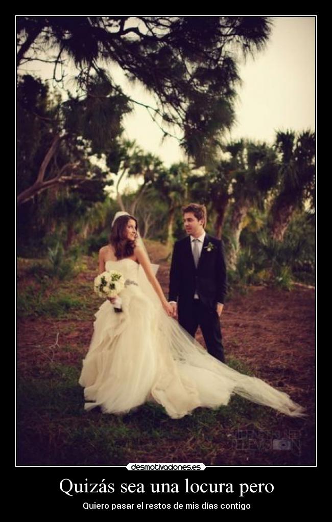 carteles locura l2sj desmotivaciones