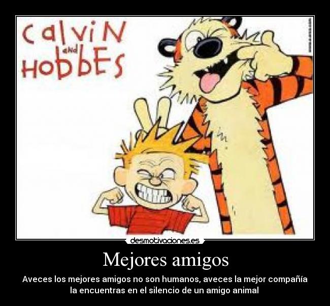 carteles amigos perros desmotivaciones