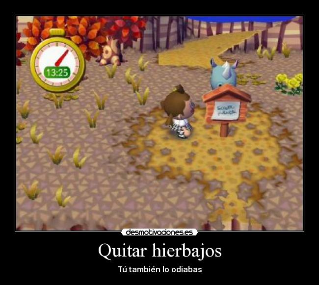 Quitar hierbajos - 