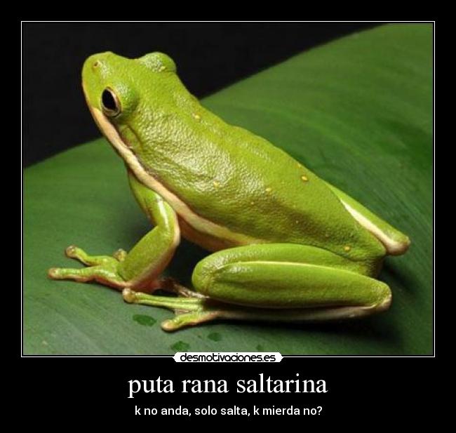 puta rana saltarina - k no anda, solo salta, k mierda no?