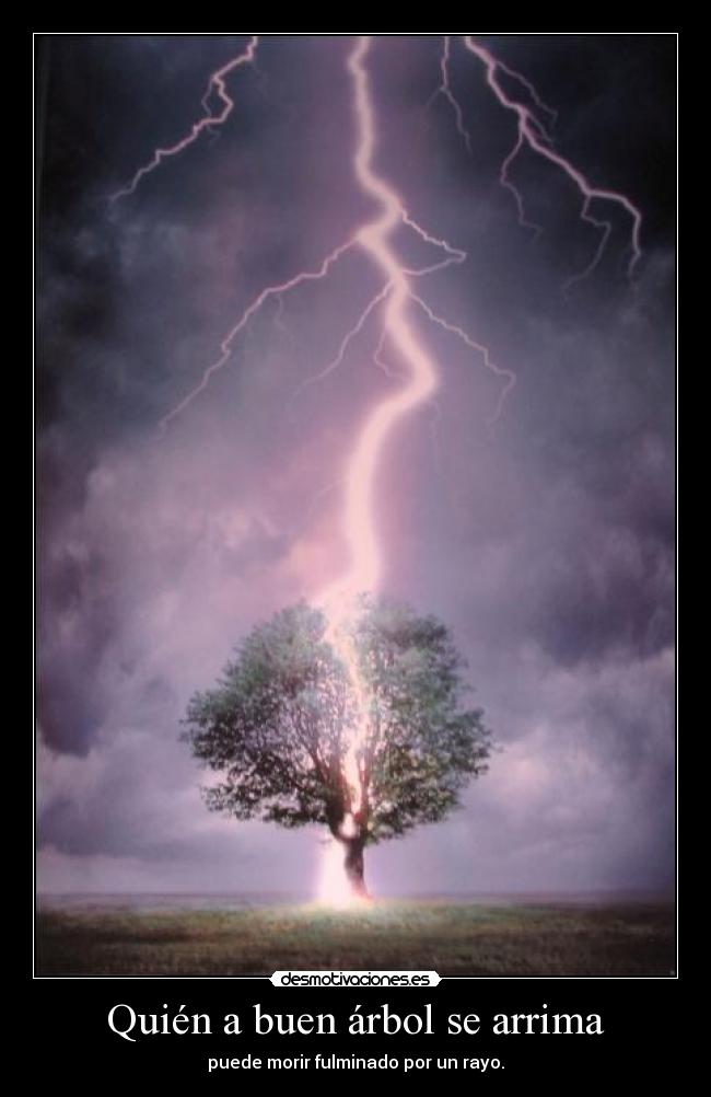 Quién a buen árbol se arrima - 