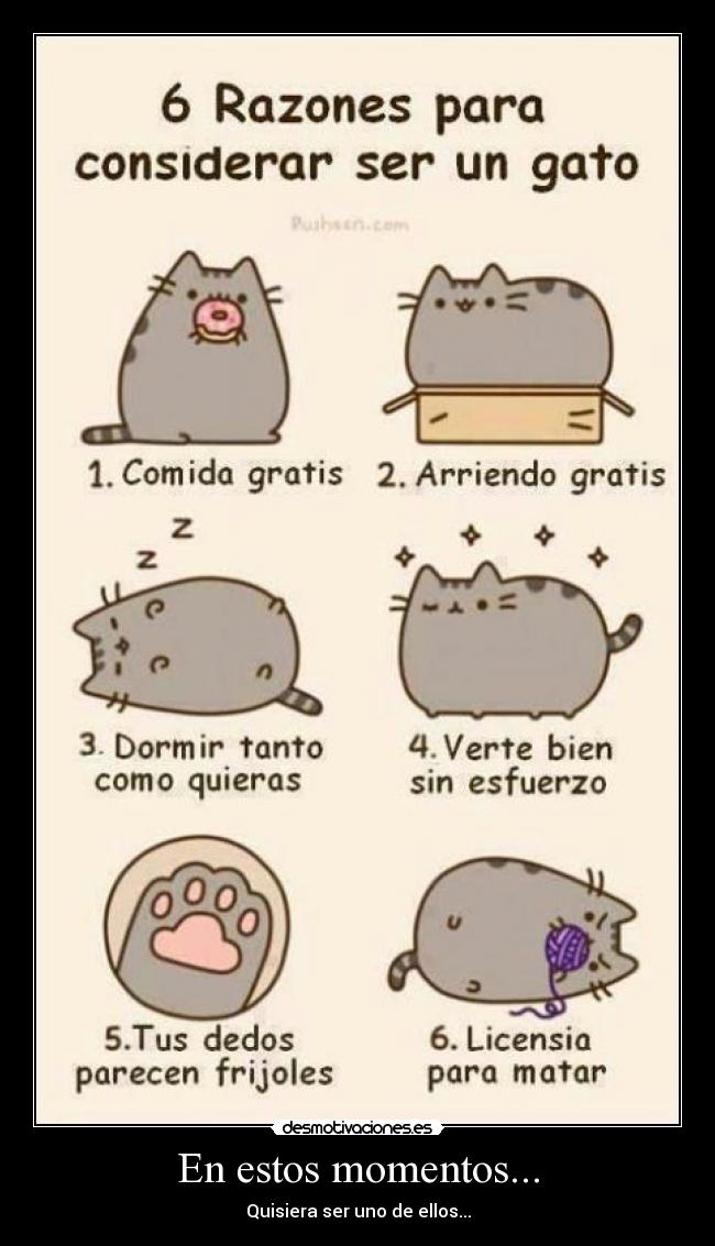 En estos momentos... - Quisiera ser uno de ellos...