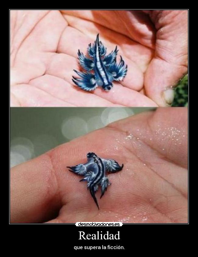 Realidad - que supera la ficción.