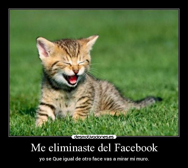 Me eliminaste del Facebook - yo se Que igual de otro face vas a mirar mi muro.