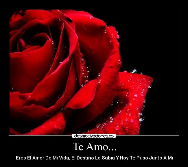 Te Amo... - Eres El Amor De Mi Vida, El Destino Lo Sabia Y Hoy Te Puso Junto A Mi