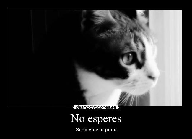No esperes - 