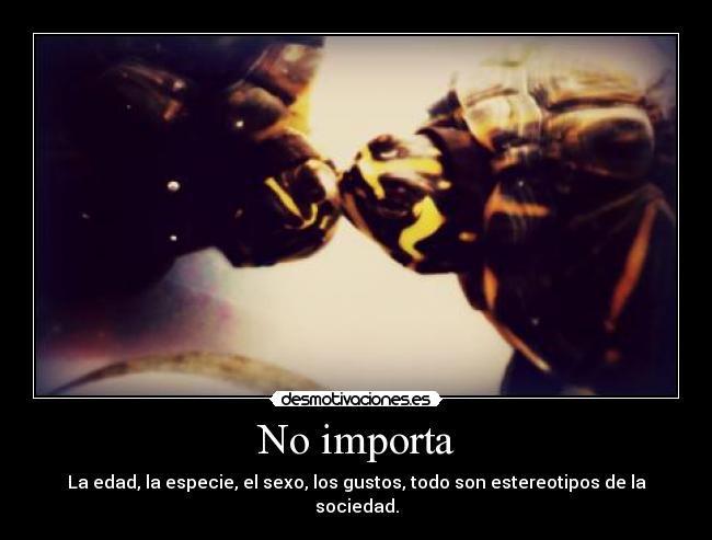 No importa - 