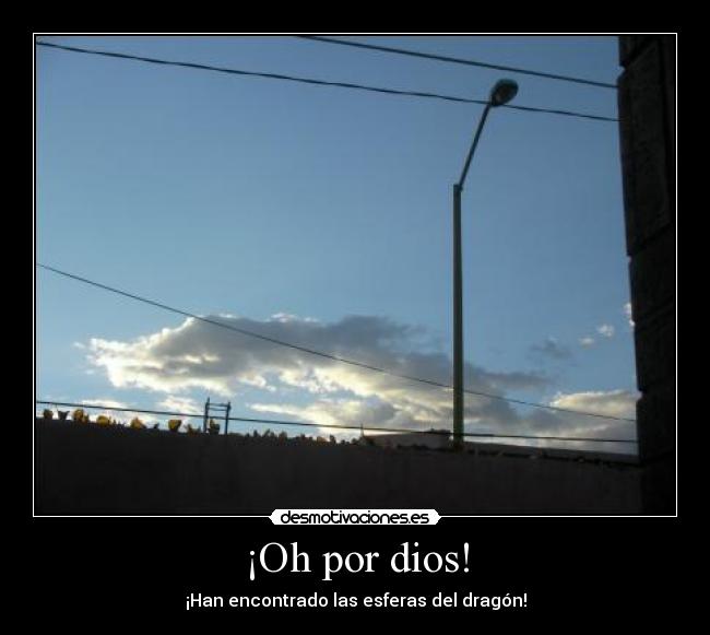 ¡Oh por dios! - ¡Han encontrado las esferas del dragón!