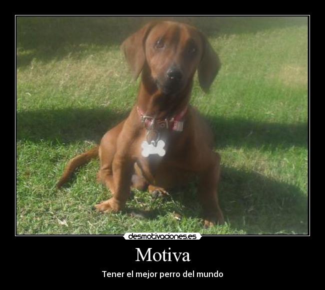 Motiva -