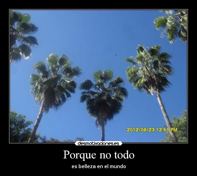 Porque no todo - es belleza en el mundo