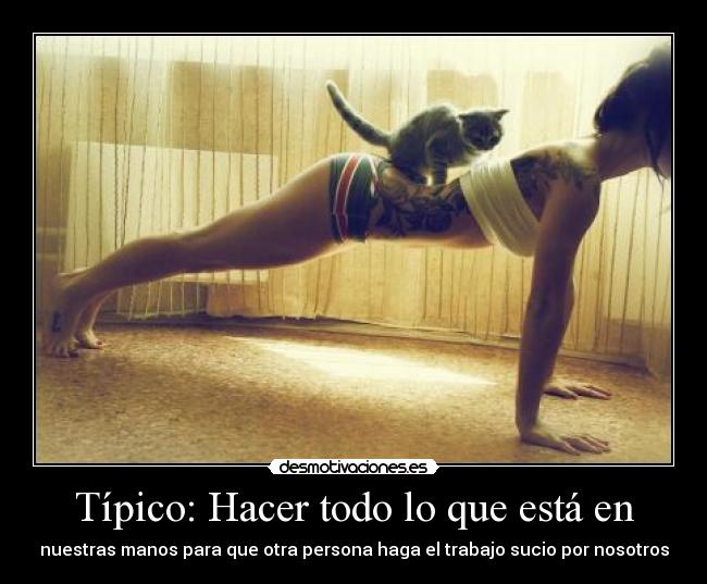 carteles enamorado ese gatossi soy sincero walkt desmotivaciones