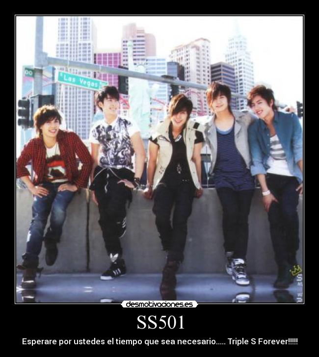 SS501 -