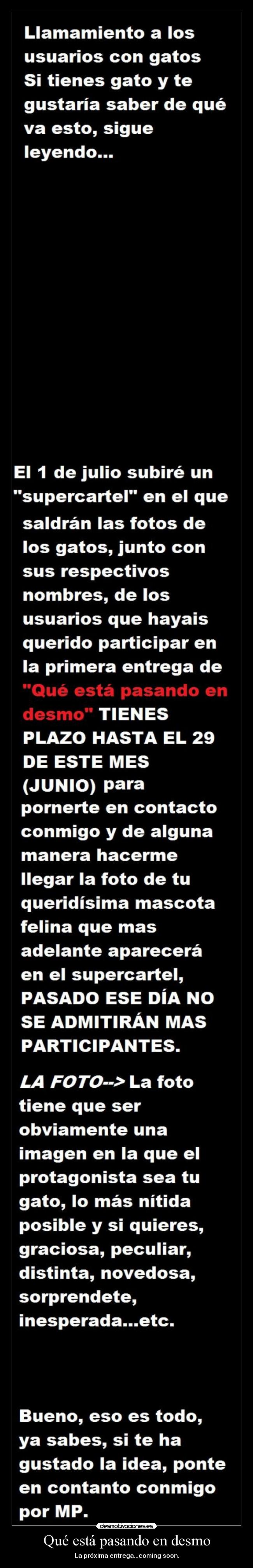 Qué está pasando en desmo - 