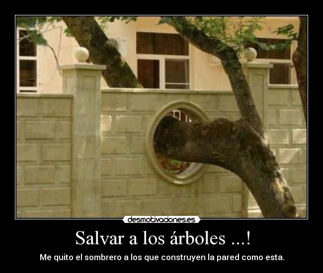 Salvar a los árboles ...! - 