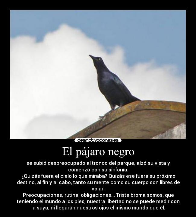 El pájaro negro - 