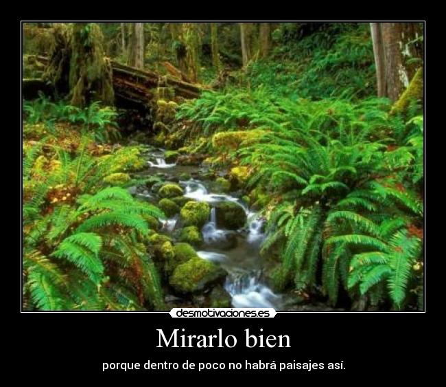 Mirarlo bien - porque dentro de poco no habrá paisajes así.