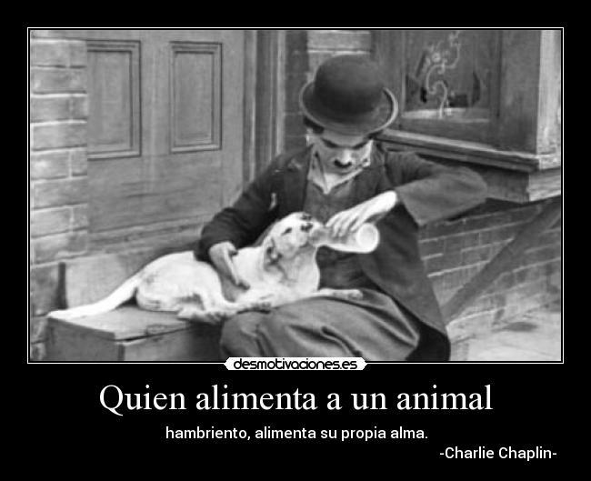 carteles ocsuhc quedate conmigo 253 desmopornositas intruders clantoto desmotivaciones