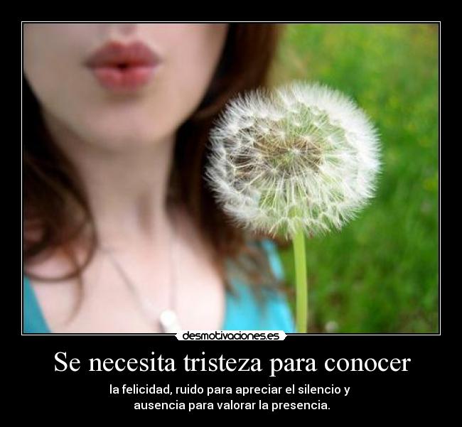 Se necesita tristeza para conocer - la felicidad, ruido para apreciar el silencio y
ausencia para valorar la presencia.