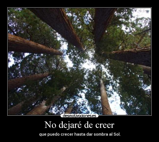 No dejaré de creer - que puedo crecer hasta dar sombra al Sol.