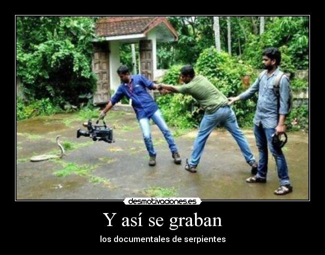 Y así se graban - los documentales de serpientes