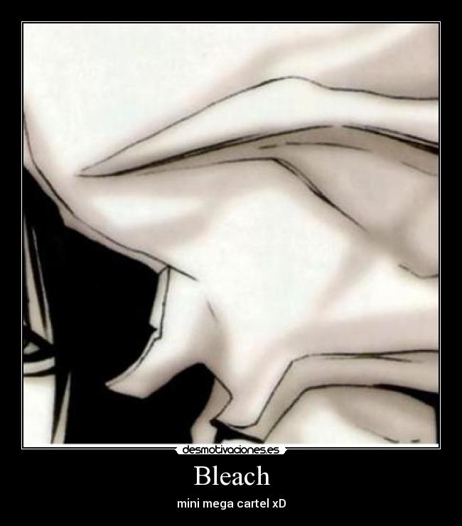 Bleach - mini mega cartel xD