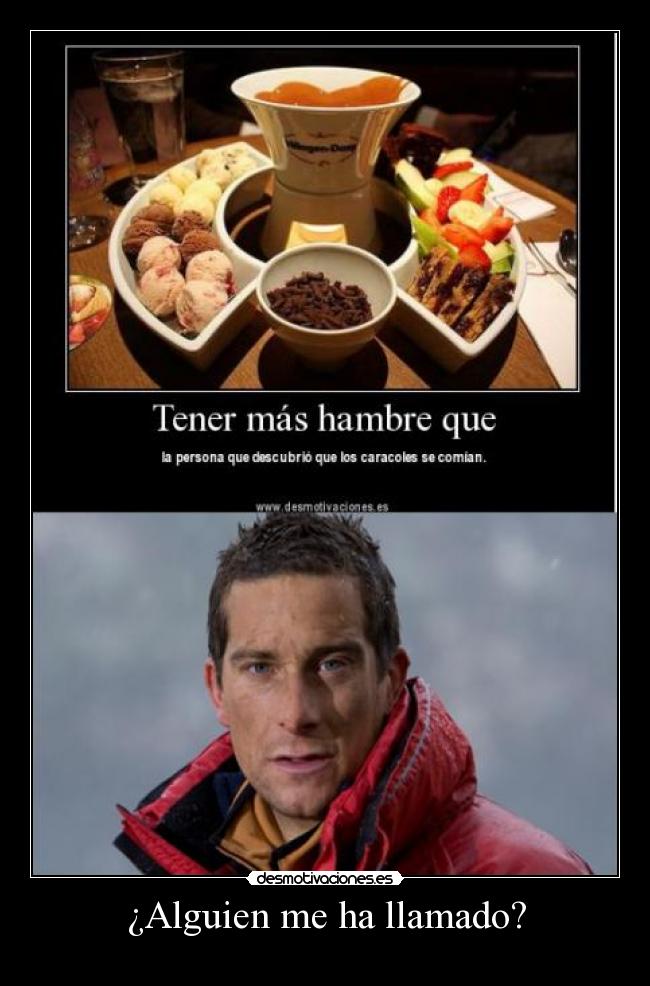 carteles bear grylls desmotivaciones