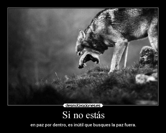 Si no estás -