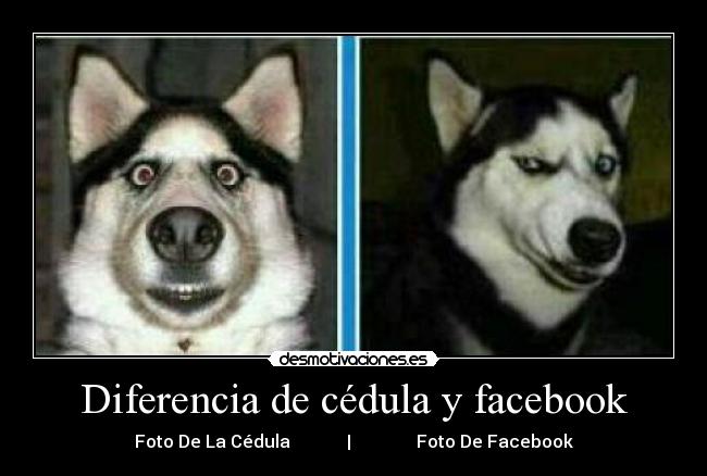 Diferencia de cédula y facebook - 