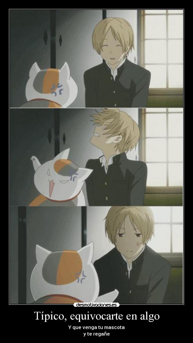 Típico, equivocarte en algo -