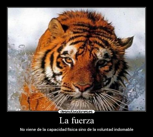 http://img.desmotivaciones.es/201206/SinttuloASDs.jpg