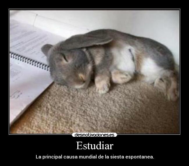 Estudiar - La principal causa mundial de la siesta espontanea.