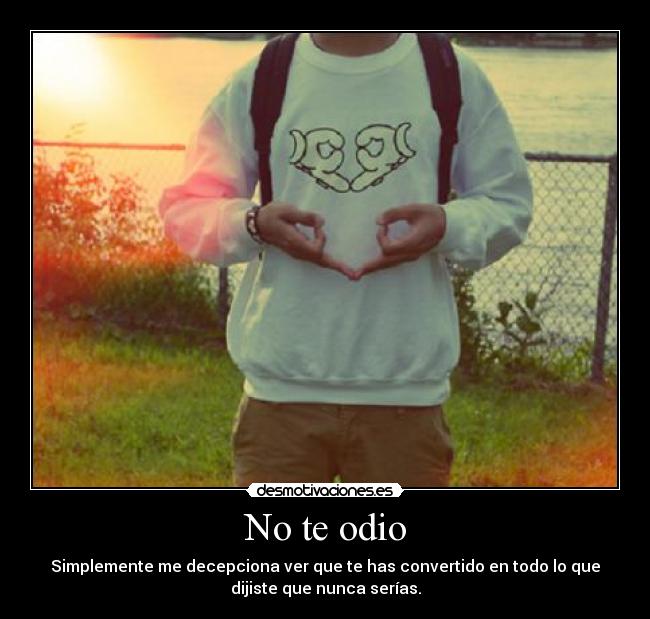 No te odio -