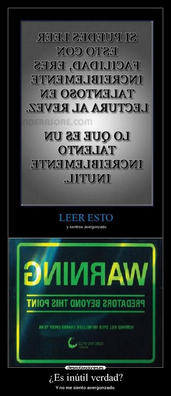 ¿Es inútil verdad? - Y no me siento avergonzado.