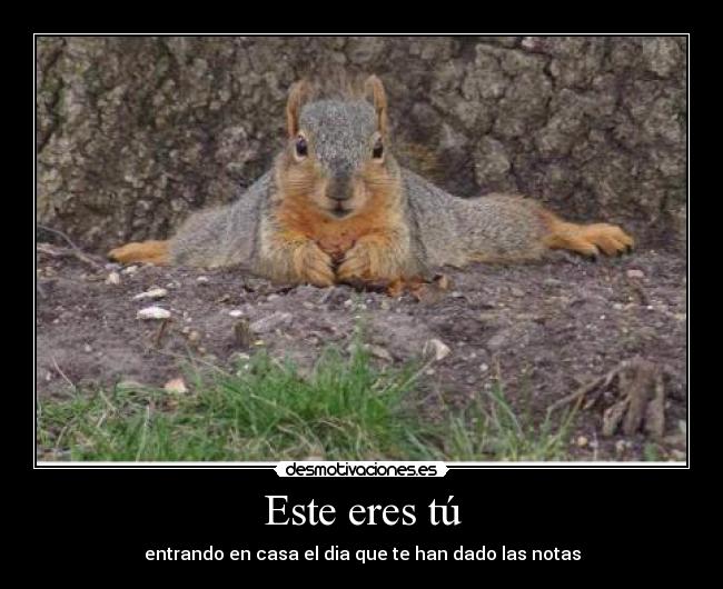 Este eres tú - entrando en casa el dia que te han dado las notas