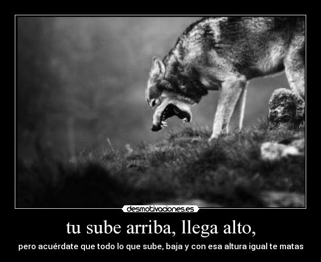 carteles llega alto desmotivaciones