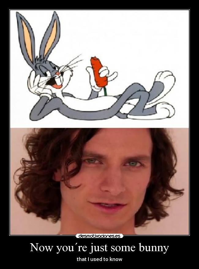 Now you´re just some bunny - that I used to know