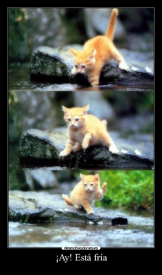 ¡Ay! Está fría -