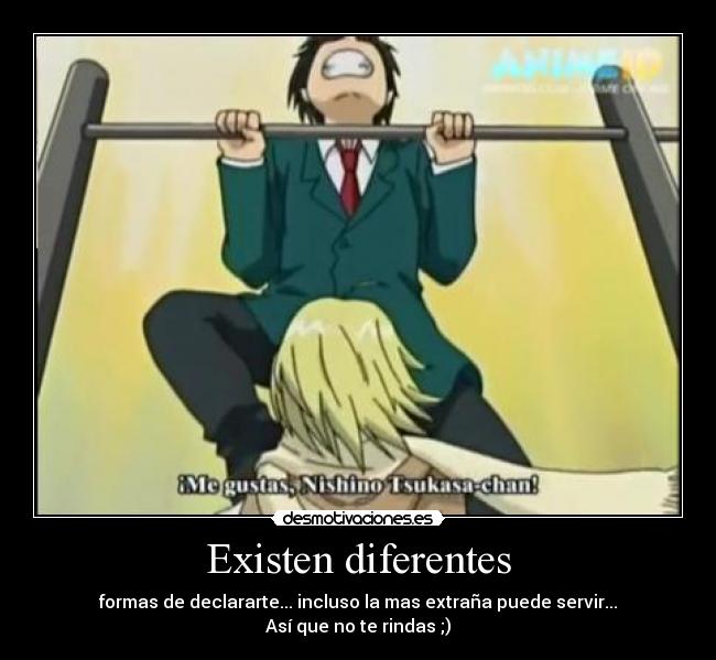 Existen diferentes -