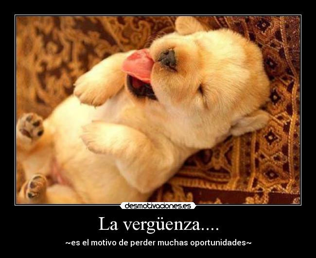 La vergüenza.... -