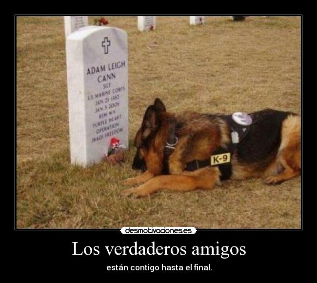 Los verdaderos amigos - están contigo hasta el final.