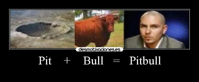 Pit + Bull = Pitbull -
