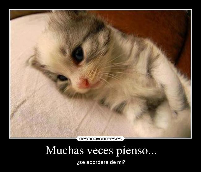 Muchas veces pienso... - 