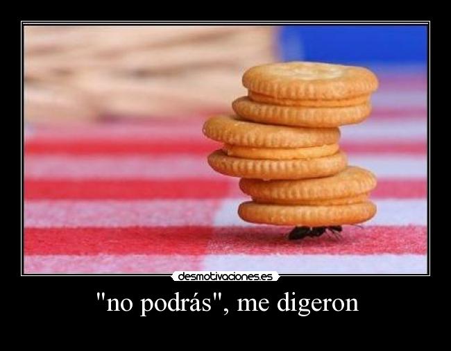 no podrás, me digeron -