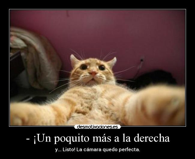 - ¡Un poquito más a la derecha - y... Listo! La cámara quedo perfecta.