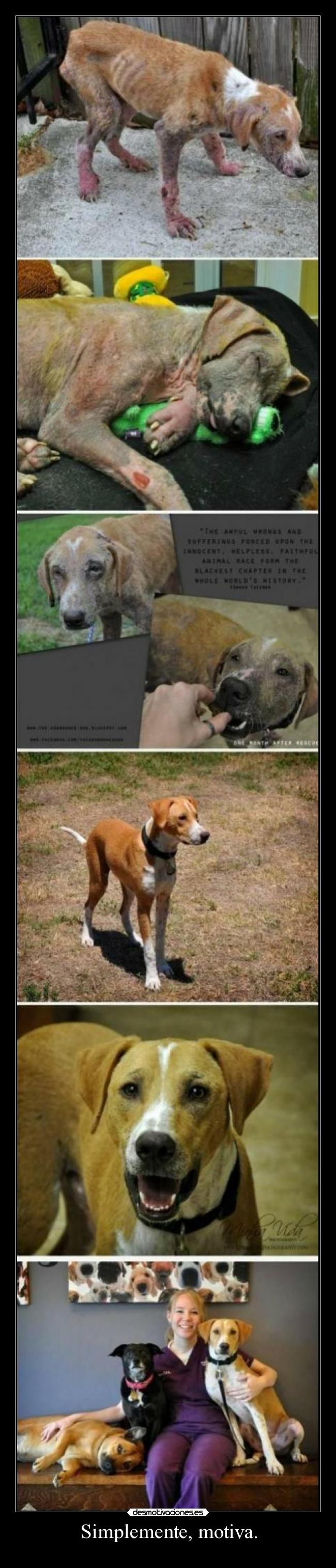 Simplemente, motiva. -