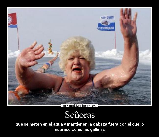 Señoras - que se meten en el agua y mantienen la cabeza fuera con el cuello
estirado como las gallinas