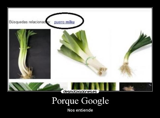 Porque Google -