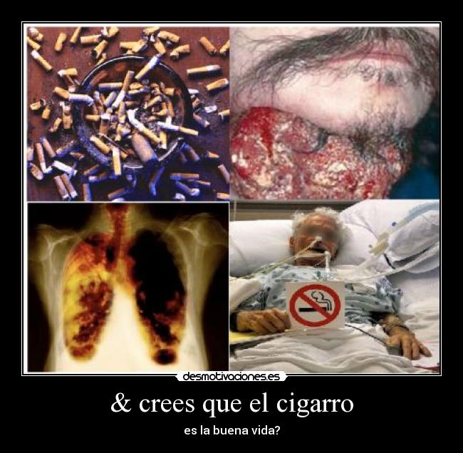 & crees que el cigarro - es la buena vida?